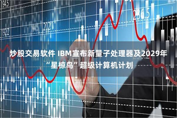 炒股交易软件 IBM宣布新量子处理器及2029年“星椋鸟”超级计算机计划