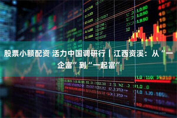 股票小额配资 活力中国调研行｜江西资溪：从“一企富”到“一起富”