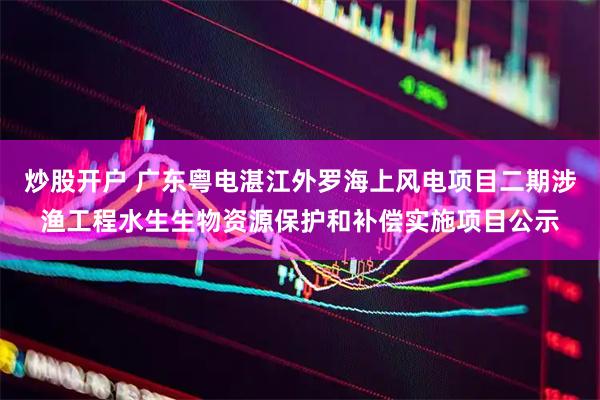 炒股开户 广东粤电湛江外罗海上风电项目二期涉渔工程水生生物资源保护和补偿实施项目公示